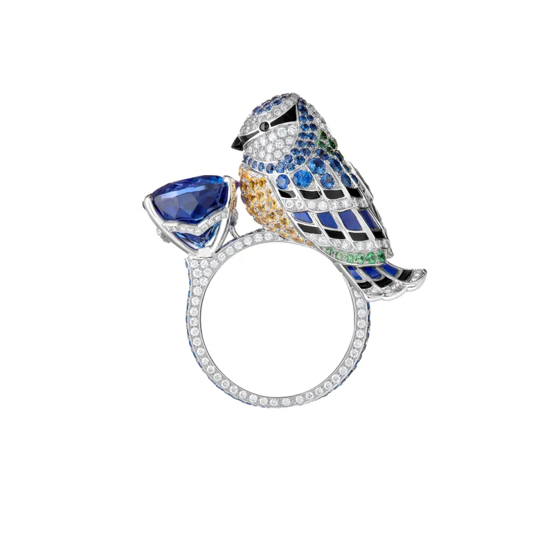 Second product packshot​ Meisa, the Chickadee ring